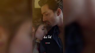 Haal E Dil  Female  Full Screen Whatsapp Status  Jab Sham Aaye Tum Yaad Aaye  Ss Samir [upl. by Reiche]