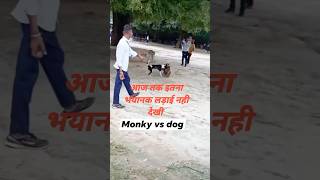 Monkey vs dog😱😳🙀shotrs shorts short youtubeshorts trending [upl. by Iams]