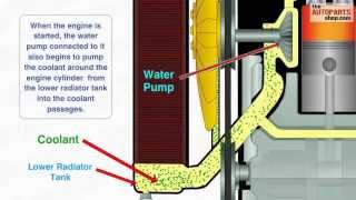 How Car Cooling System Works [upl. by Yarehs607]