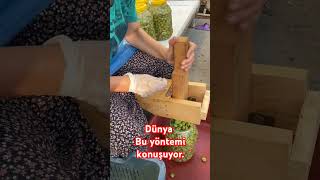 Zeytin Kırma zeytin gemlik cukurova [upl. by Ainalem]