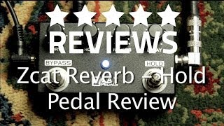 Zcat Reverb  Hold Pedal  Demo and Review  I LOVE THIS PEDAL [upl. by Dera]