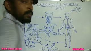 Dracunculus medinensislife cycle [upl. by Kiah]