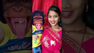 Bandar mama pahan pajama 💥💥😘 viral funny shrots [upl. by Anatsirhc]