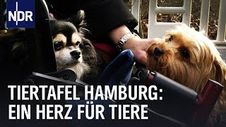 Hamburger Tiertafel Ein großes Herz für Tiere  Die Nordreportage  NDR Doku [upl. by Ahtenek982]