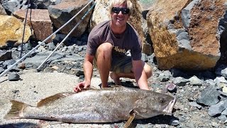 Breakwall Jewfish Port Macquarie [upl. by Marrilee]