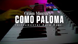 Instrumental Para orar  Sin Anuncios Intermedios  Piano para Orar [upl. by Gnolb844]