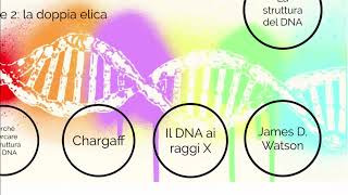 DNA 2 La doppia elica [upl. by Hoes607]