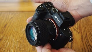 Sigma 56mm f14 DC DN C lens review with samples [upl. by Mellar]