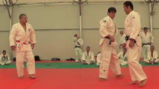 2016 World Kata Goshin Jutsu [upl. by Annadiane619]