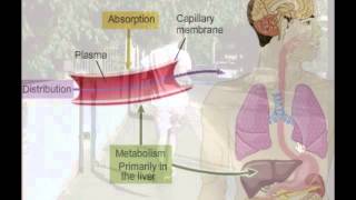 Week 2 Pharmacology Basics Midterm Review [upl. by Voleta]