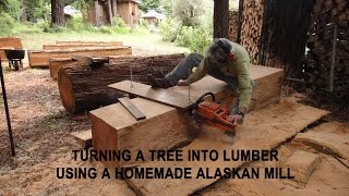 Turning a tree into lumber using a homemade Alaskan Mill [upl. by Alleynad]