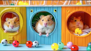 Hamster Escapes the DIY Minecraft Maze Adventure 🐹 Hamster Maze [upl. by Annahaj281]