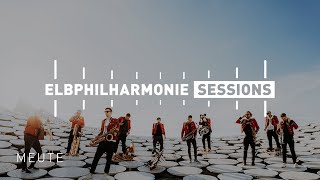 Elbphilharmonie Sessions  MEUTE live on the Rooftop [upl. by Otilopih387]