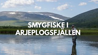 VLOG  SMYGFISKE I ARJEPLOGFJÄLLEN [upl. by Tezzil616]