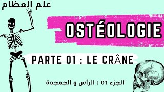 Ostéologie  Parte 01  le crâne ☠️ علم العظام  الجزء الاول  الجمجمة [upl. by Bertila]