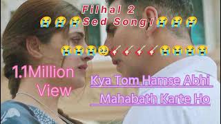 Best Of Bollywood Sed song 🎶Filhaal 2 movie full song  trending song song [upl. by Eiznekcm]