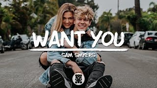 Sam Smyers  Want You Lyrics Video [upl. by Niwrad578]