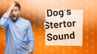 What does a dogs stertor sound like [upl. by Harday]