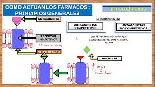 CLASE 7 ANTAGONISTAS COMPETITIVOS Y ANTAGONISTAS NO COMPETITIVOS [upl. by Harmaning143]