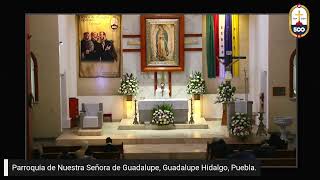 EN VIVO Celebración Eucarística Misa Votiva de la Sagrada Eucaristía [upl. by Korney]