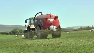 Slurry Tanking Big MF Tractor amp Red Rock Tanker 19 05 24 [upl. by Freiman]