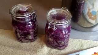 Easy homemade sauerkraut superior probiotics [upl. by Anec889]