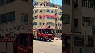 紅磡街景 香港 Hung Hom Street View Hong Kong [upl. by Demmahom]