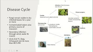 Early blight of potato Alternaria solani Life Cycle alternariasolani lifecycle earlyblightpotato [upl. by Tnert]