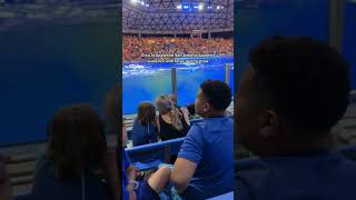 Orca at SeaWorld San Antonio splashes audience with feces during show [upl. by Bena346]