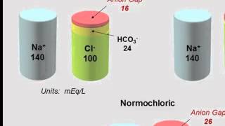 The Anion Gap in Metabolic Acidosis [upl. by Rakso]