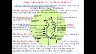 Dr P Sivagnanams Eight ExtraOrdinary Meridians Presentation [upl. by Nahaj]