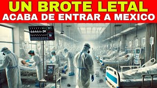 ¡EMERGENCIA SANITARIA MÉXICO ENFRENTA BROTE DE BACTERIA RESISTENTE MILLONES DEBEN PREPARARSE [upl. by Ansley]