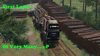 FS19  Forestry On Holmåkra  First Load  Timelapse  S02 EP22 [upl. by Nitnilc]