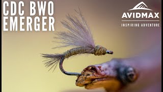 How to tie the CDC BWO Emerger  AvidMax Fly Tying Tuesday Tutorials [upl. by Nicolis]