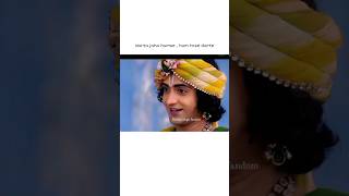 darta jaha humse hum tose darte 🤭😌😌✨ sumedhandmallika sumedhmudgalkar sumelikans radhakrishna [upl. by Scarlet]