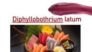 Diphyllobothrium latum [upl. by Cloots939]