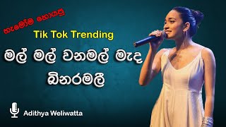 Mal mal wana mada මල් මල් වන මැද බිනර මලී  full song  adithya weliwatta  sirasa tv [upl. by Debera365]