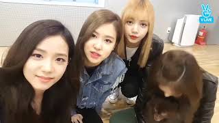 ALL SUB BLACKPINK VLIVE 20170331 [upl. by Ymmik347]