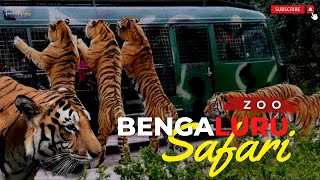 Bannerghatta National Park Jeep Safari  Amazing Jungle Safari Bengaluru  Bangalore ZOO Safari [upl. by Friedland]