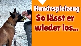 Hundetraining mit Steffi ► So lässt dein Hund das Hundespielzeug wieder los [upl. by Hanas81]