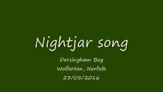 Nightjar churring  audio only [upl. by Hannavas]