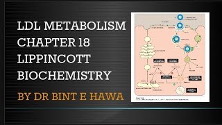 METABOLISM OF LDL PARTICLES  CHAPTER 18  BIOCHEMISTRY MADE EASY BY DR BINT E HAWA [upl. by Conah]