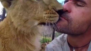 Lion Whisperers Top 5 Moments 2015 [upl. by Kries]