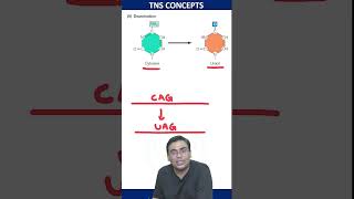 Deamination Of Cytosine  molecularbiology csirnet lifescience [upl. by Ellenaej]