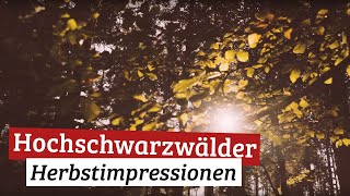 Hochschwarzwald Herbstimpression [upl. by Koren]