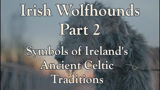 Irish Wolfhounds  Part 2 Symbols of Irelands Ancient Celtic Traditions [upl. by Dimo]