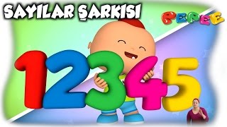 Pepee  Sayılar Şarkısı  Çocuk Şarkısı  Düşyeri [upl. by Ameer]