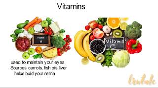 Six classes of Food nutrients [upl. by Abad419]