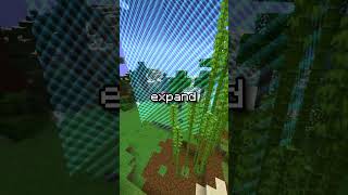 Speedrunning the CRAZIEST Minecraft SMP [upl. by Raseda]