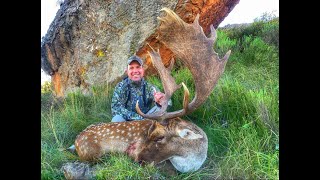 Chasing Stags  Fallow Deer Hunting in Molteno EC [upl. by Dihahs]